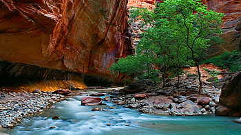 Zion National Park, The Narrows, KDE store, Utah HD wallpaper