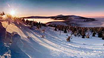 winter, eclipse, sun, forest HD wallpaper