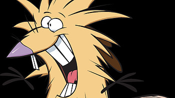 Angry beavers, TV series, Animation, Vector beavers HD wallpaper