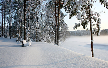 Landscape, Winter, Trees, Snow HD wallpaper