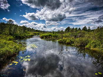 Beautiful stream, landscape, clouds, beautiful, nature, amazing, forest, stream HD wallpaper