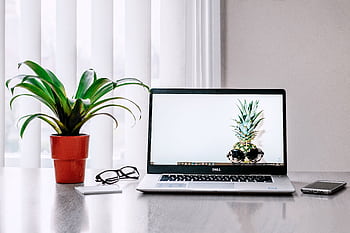 A stylish workspace featuring a laptop, plant, and smart on a desk. HD wallpaper