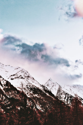 Nature, Trees, Sky, Mountain, Vertex, Top, Snow Covered, Snowbound HD phone wallpaper