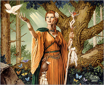 Krosan Restorer, bird, butterfly, forest, woman HD wallpaper