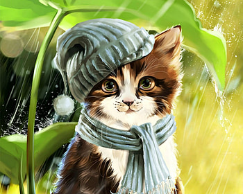 Rainy day, lorri kajenna, rain, art, water drops, cat, fantasy, green, leaf, scarf, kkitten, hat HD wallpaper