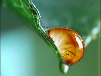 Heart_of_Nature, cool, heart-of-nature, water-drop HD wallpaper