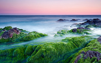 Nature, Stones, Sea, Cool, Moss, Haze, Steam, Coolness, Evaporation, Growths HD wallpaper