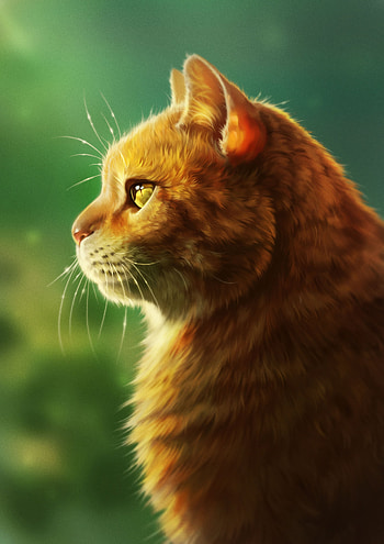 Art, Cat, Fluffy, Muzzle, Profile HD phone wallpaper