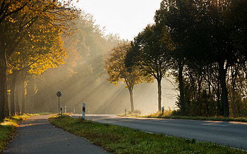 Good Morning HD wallpaper