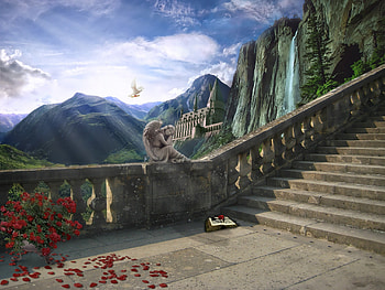 Magnificent, colors, scenery, stairs, sunshine, stock , roses, exterior, resources, beautiful, premade BG, creative pre-made, love four seasons, landscapes, book, heaven, clouds, nature, sky, flowers HD wallpaper