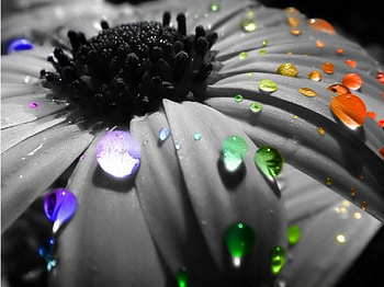Tears of a Rainbow, lakes, nature, water HD wallpaper