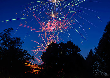 Holidays, Trees, Salute, Sparks, Holiday, Fireworks, Firework HD wallpaper