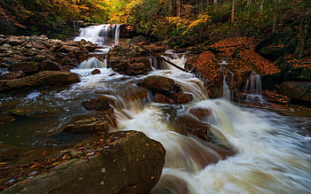 Kennedy Falls in the wild hills of West Virginia, stones, river, leaves, trees, cascades, rocks, usa HD wallpaper