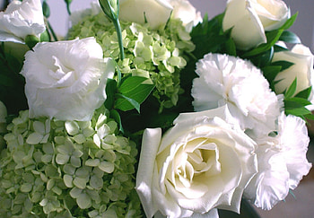 White bouquet, white, flowers HD wallpaper