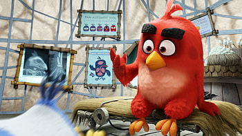 Red The Angry Birds, angry-birds, birds, movies, animated-movies, 2016-movies, the-angry-birds-movie HD wallpaper