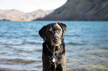 Queenstown videography, graphy service, Creative storytelling, Emotional captures HD wallpaper
