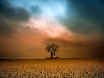 Waiting for Rain, cool HD wallpaper