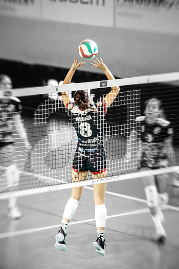 Sports, volleyball HD phone wallpaper