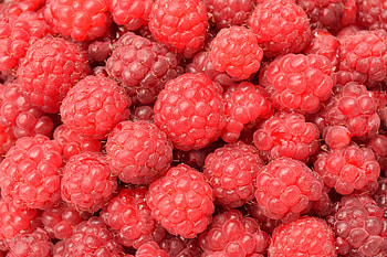 Food, Raspberry, Berries, Ripe, Multitude, Lots Of HD wallpaper