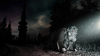dayz-standalone--survivor-at-night HD wallpaper