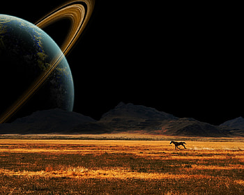 Great view on Saturn, night, horse, planet, space, view, land HD wallpaper