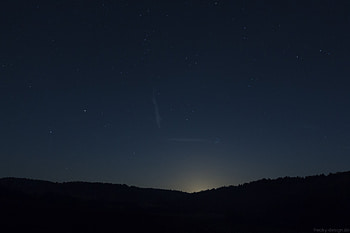 Trees, Night, Dark, Starry Sky, Darkness HD wallpaper