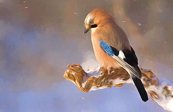 bird-painted, fantasy, art, painting, bird HD wallpaper