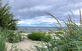 Beach in Latvia, sea, bentgrass, clouds, Latvia, grass, beach HD wallpaper