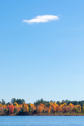 Nature, Rivers, Trees, Sky, Autumn HD phone wallpaper