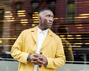 Mahershala Ali, Movies, Introducing, Seen his face HD wallpaper