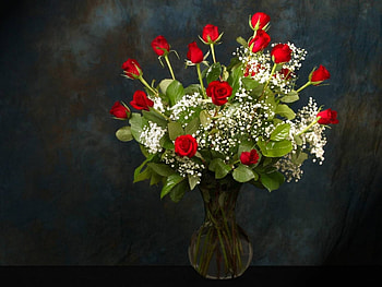 Plants, Flowers, Bouquets HD wallpaper