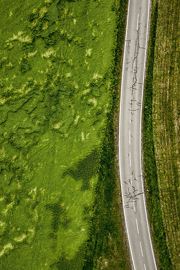 Nature, Grass, Roads, View From Above, Asphalt, Greens HD phone wallpaper