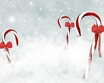 Candy cane, white, cane, Christmas, ribbon HD wallpaper