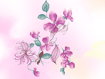 Purple Flowers, purple, flowers, minimal, art HD wallpaper