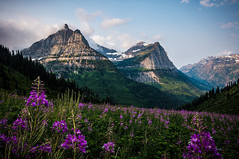 Landscape, meadow, mountains, nature HD wallpaper
