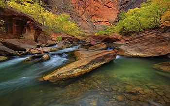 Zion National Park, Utah USA, Virgin River, Red rocks HD wallpaper