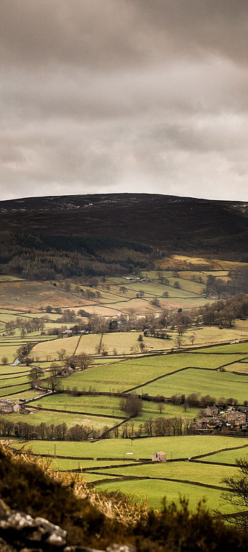 Vellay village beauty, Nature-inspired , Serene landscapes, Mobile charm HD phone wallpaper
