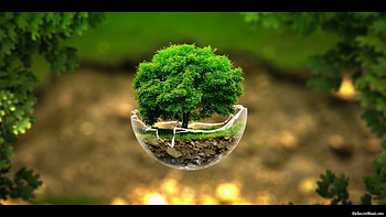 Best Nature - Collections HD wallpaper