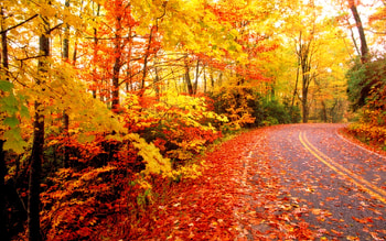 .wiki-Computer-outclass-backgrounds-fall-PIC-WPD007028 HD wallpaper
