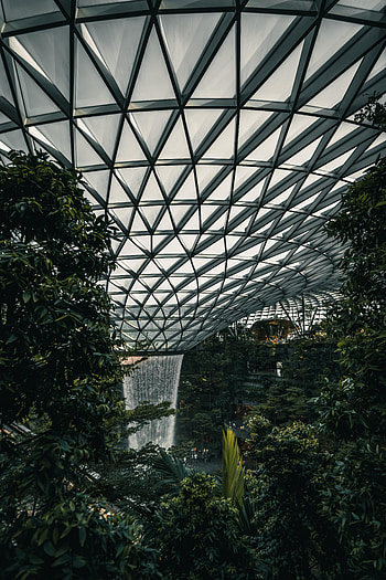 Plants, Water, Leaves, Miscellanea, Miscellaneous, Design, Construction, Greenhouse HD phone wallpaper
