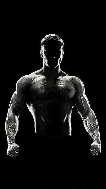 Gym , Physical Fitness HD phone wallpaper