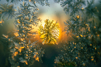 Macro, Pattern, Glass, Snowflake HD wallpaper