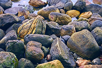 Rocks, forest, wild, nature HD wallpaper