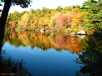 Fall Colors, fall colors, danieltowsey HD wallpaper