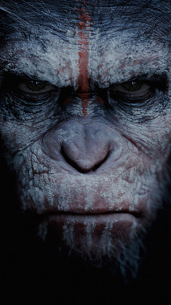 Dawn of the Planet of the Apes (2022) movie HD phone wallpaper