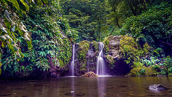 Parque Natural dos Caldeiroes, Sao Miguel Island, Azores Archipels, cascades, plants, creeks, rocks HD wallpaper