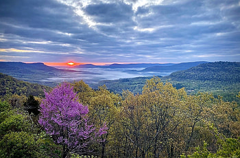 Grand Canyon - Arkansas, trees, sunset, canyon, Arkansas HD wallpaper