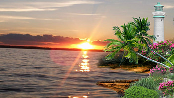 ~*~ Pretty Sunset ~*~, nature landscape, island, summer, , pretty, flowers, sunset HD wallpaper