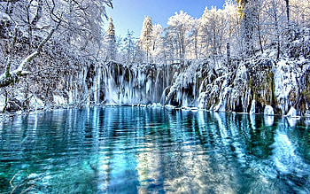 Snow, Winter, , , Cold, Forest, Ice, Lake HD wallpaper
