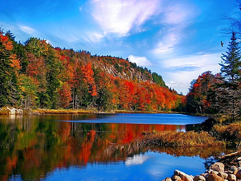 Autumn Colors, , colors, autumn, beautiful, lake HD wallpaper